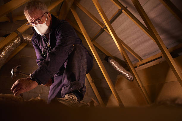 Best Insulation Maintenance and Repair in Brightwaters, NY